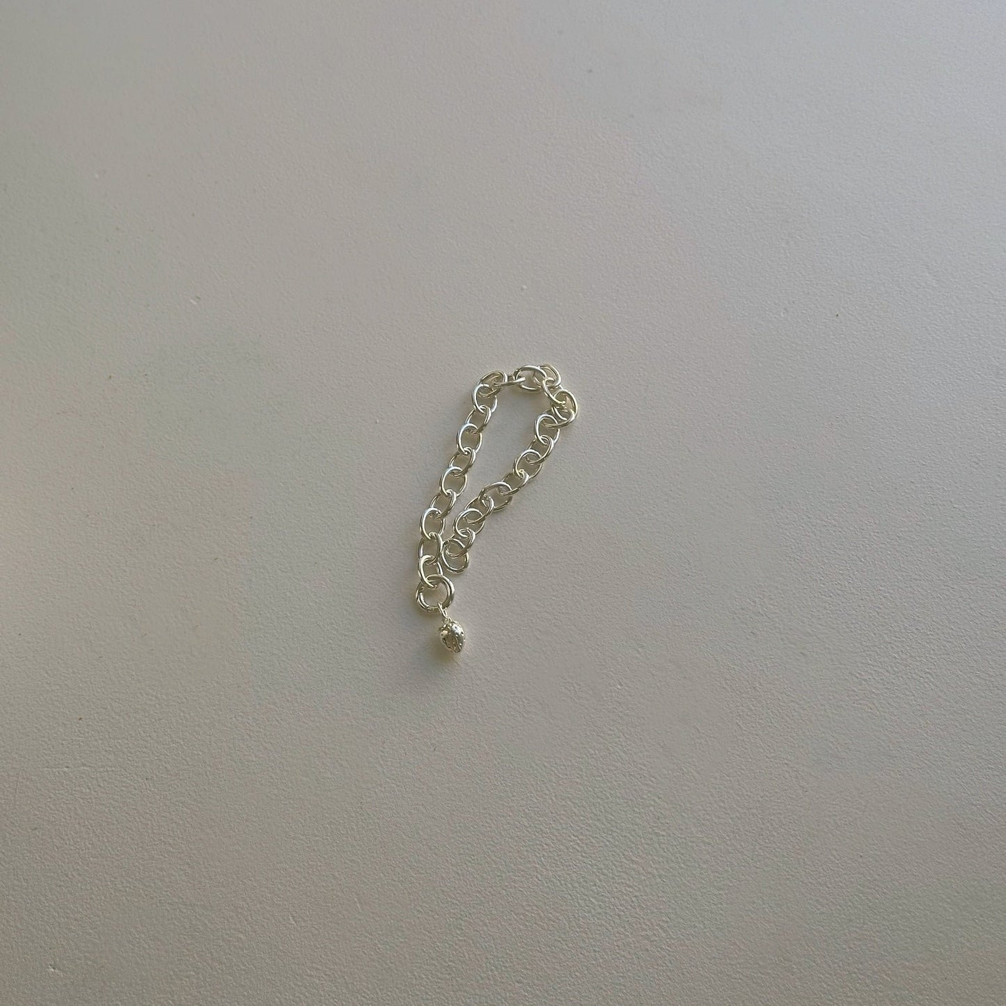 oval charm bracelet in silver on white table with strawberry charm