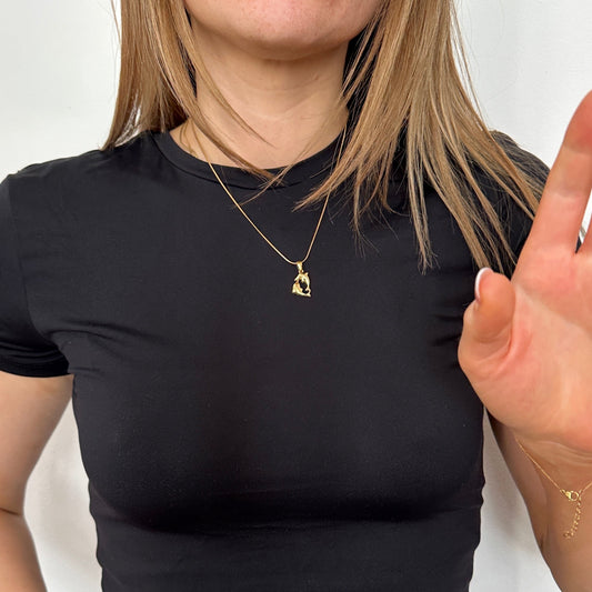 Dancing Dolphins Delfin Kette in gold getragen an Frau