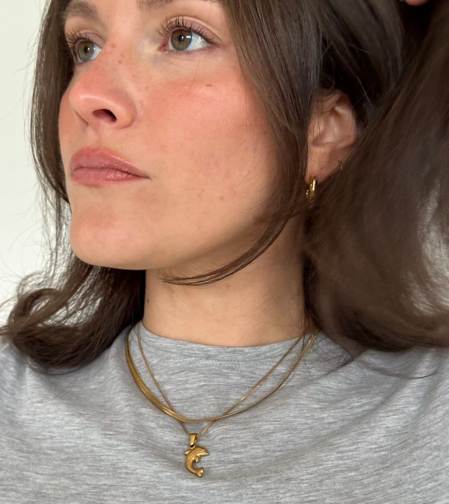 Dolphin Charm